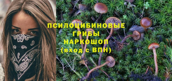 крисы Балабаново